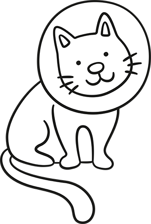 Cat Cat